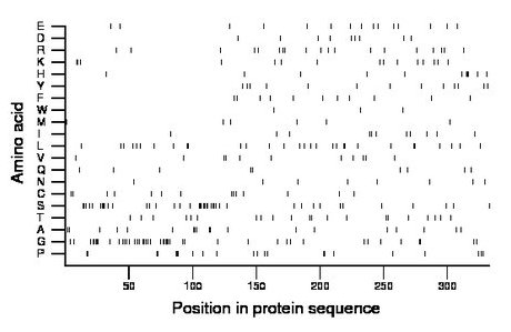 amino acid map