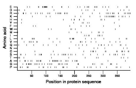 amino acid map