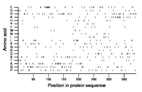 amino acid map