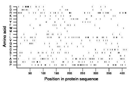 amino acid map