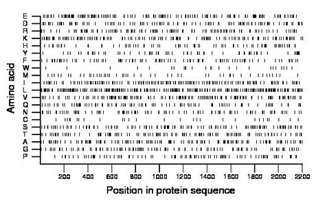 amino acid map