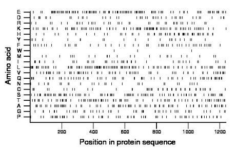 amino acid map