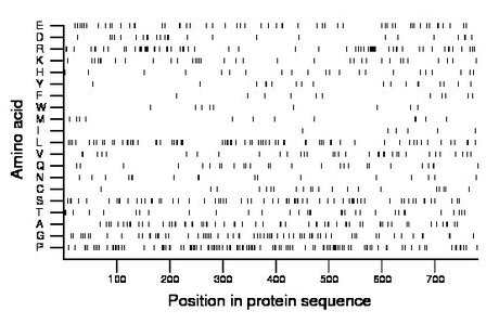 amino acid map