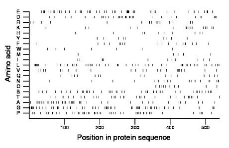 amino acid map