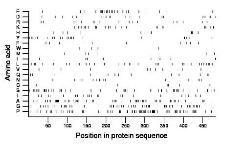 amino acid map