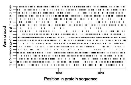 amino acid map