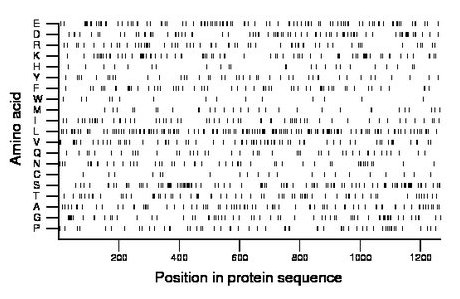 amino acid map