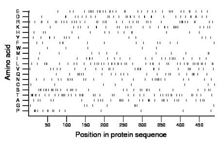 amino acid map