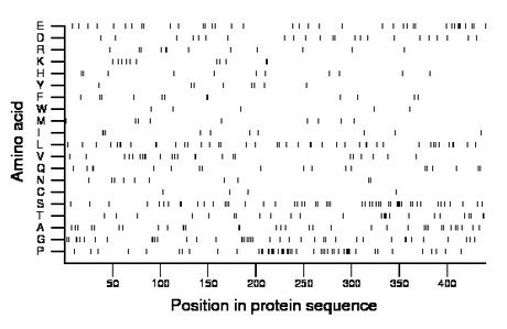 amino acid map