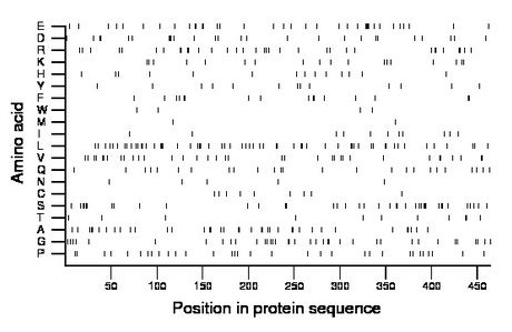 amino acid map