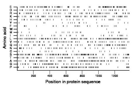 amino acid map