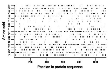 amino acid map