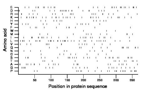 amino acid map