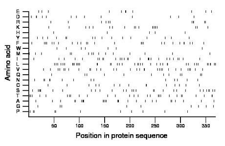 amino acid map