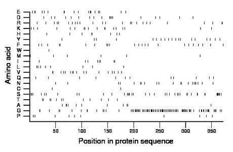 amino acid map