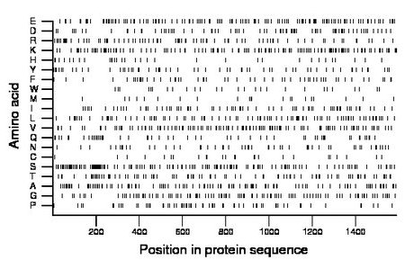 amino acid map