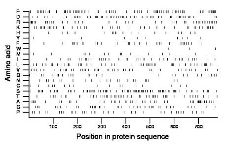 amino acid map