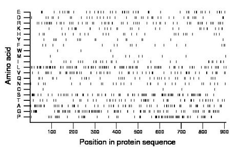 amino acid map