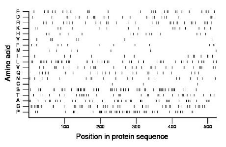 amino acid map