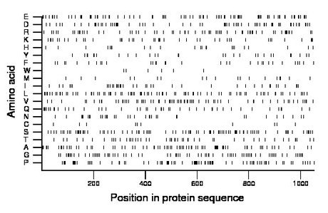 amino acid map