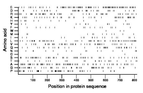 amino acid map