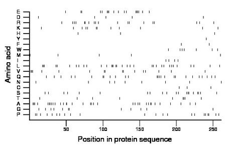 amino acid map