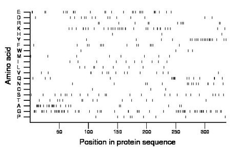 amino acid map