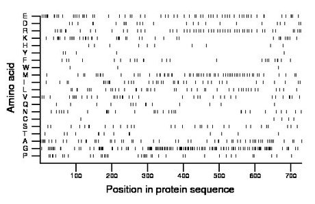 amino acid map