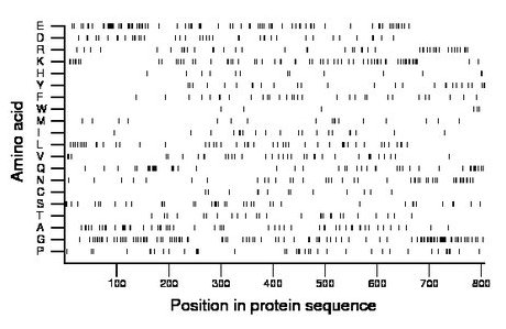 amino acid map