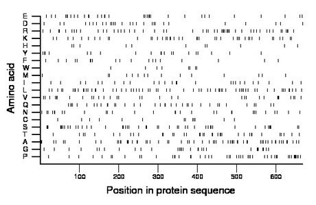 amino acid map