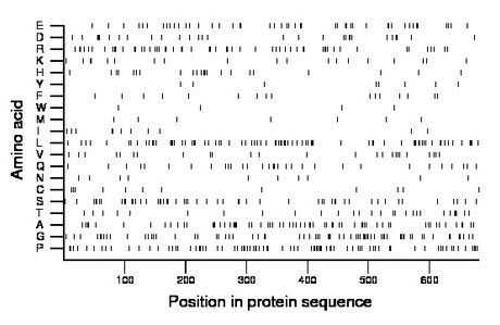 amino acid map