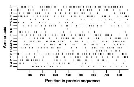 amino acid map