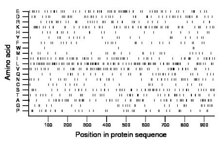 amino acid map