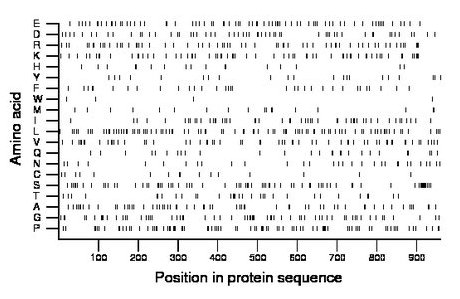 amino acid map