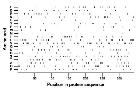 amino acid map