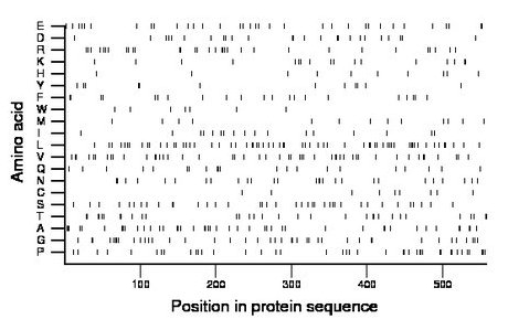 amino acid map