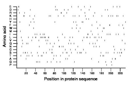 amino acid map