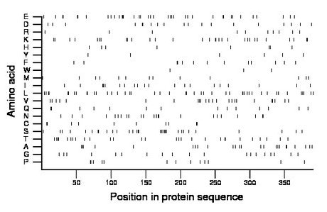 amino acid map