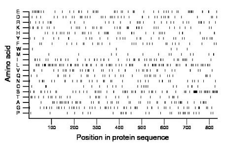 amino acid map