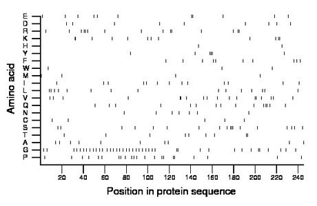 amino acid map