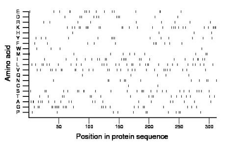 amino acid map