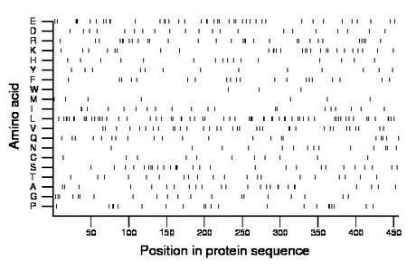 amino acid map