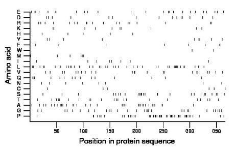 amino acid map