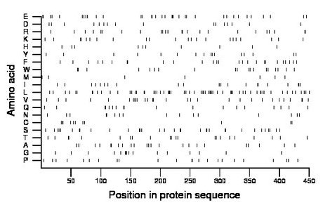 amino acid map