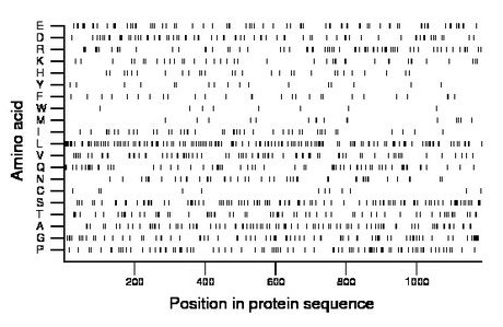 amino acid map