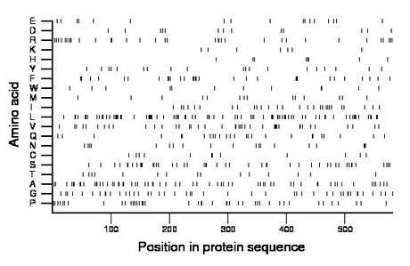 amino acid map