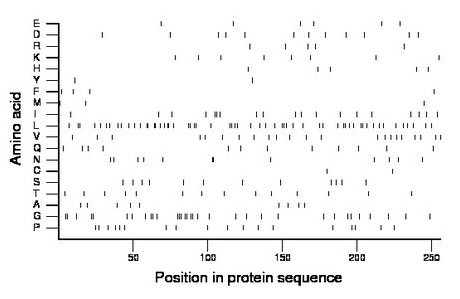 amino acid map