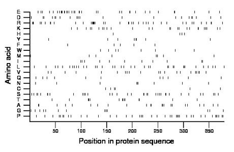 amino acid map