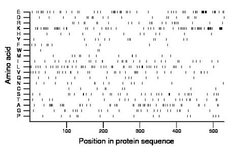 amino acid map