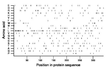 amino acid map